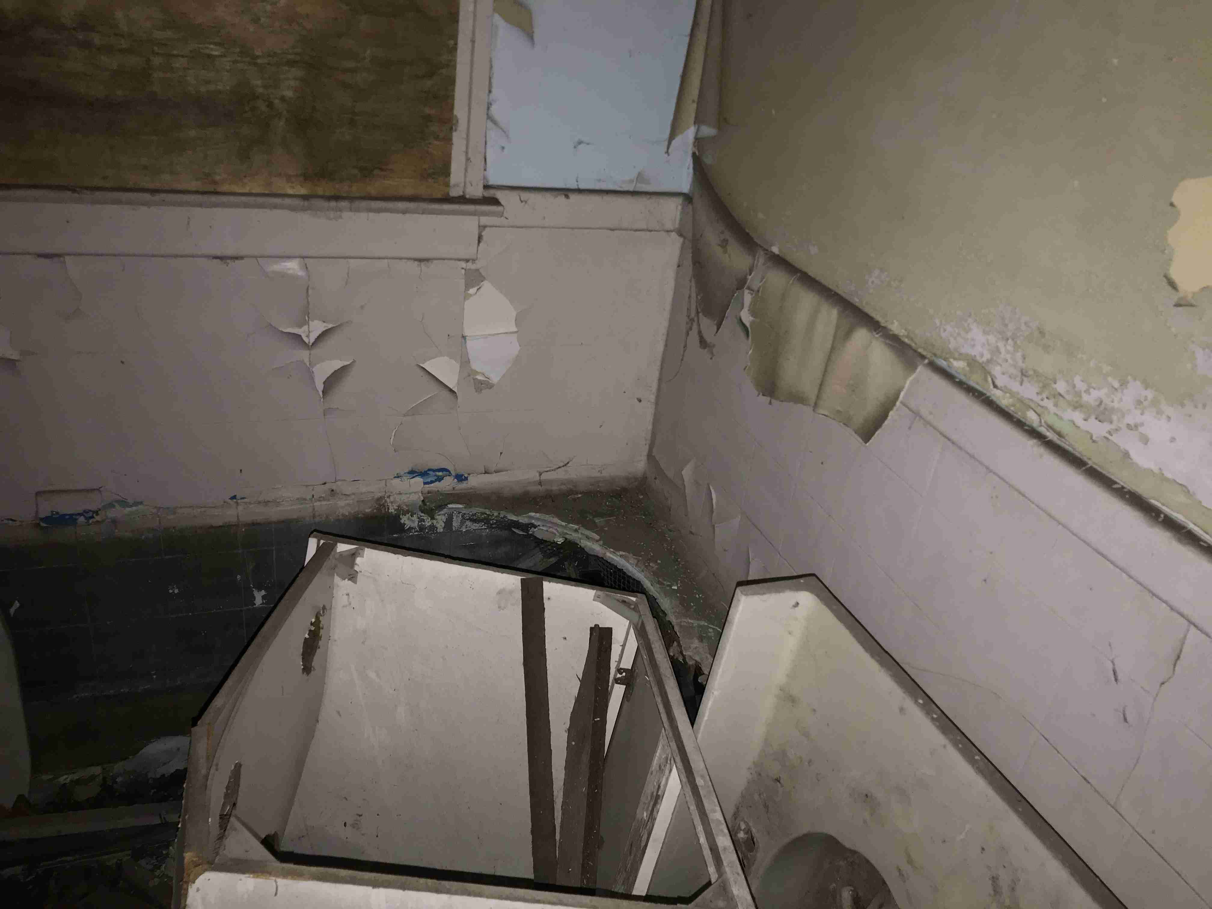 Photo Aug 20, 10 18 25 AM.jpg